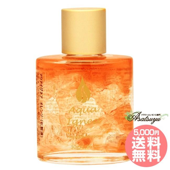 �A�N�A�C�O�l�A�@�I�����W�@�G���X���Z�N�V�����e�B