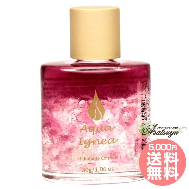 �A�N�A�C�O�l�A�@�s���N�@�֌W���ƈ�