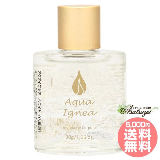 �A�N�A�C�O�l�A�@�z���C�g�@�ϗe