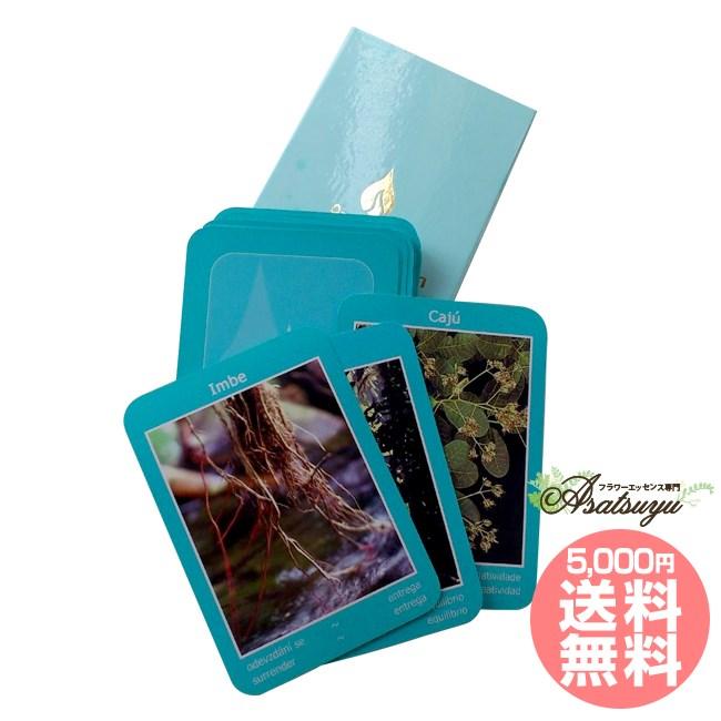 �A�����^�} �A�N�A�C�O�l�A �I���N���J�[�h