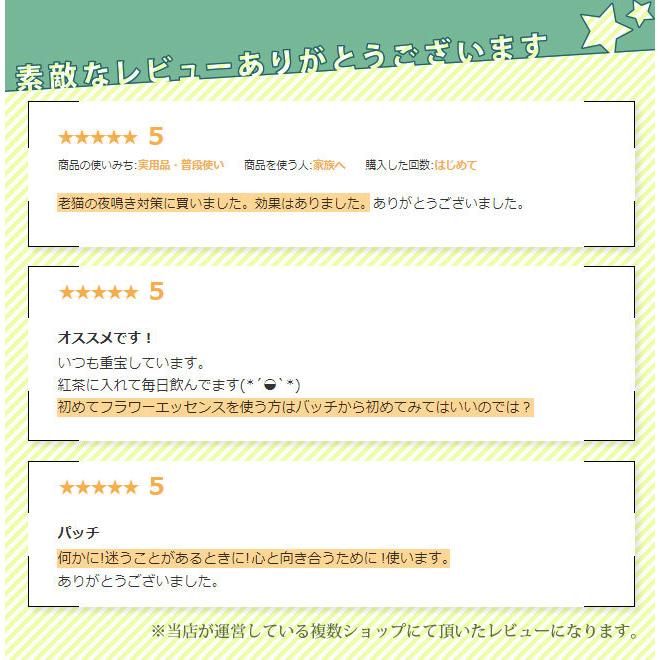 レスキュー バッチフラワーレメディ レスキューレメディ 日本国内正規品 10ml ネルソン Fbch001 癒やしのデパートasatsuyu 通販 Yahoo ショッピング