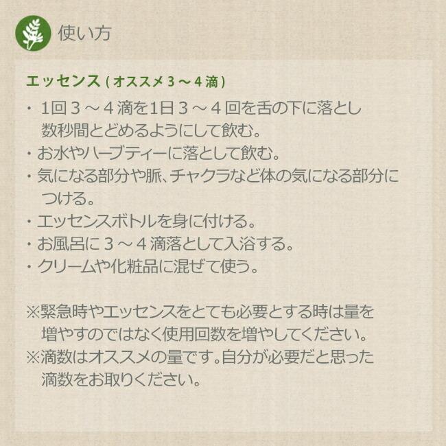 ジョシュアツリー Fesフラワーエッセンス レンジオブライト Ffes005 癒やしのデパートasatsuyu 通販 Yahoo ショッピング