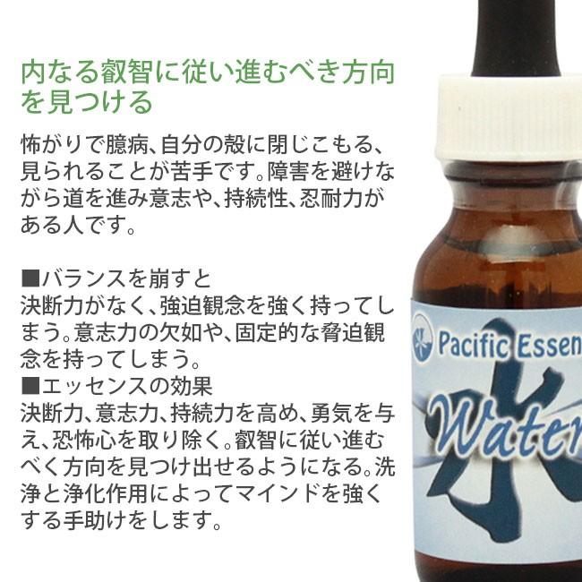 777円 新作送料無料 バッチフラワーレメディ 14ヘザー ノンアルコープタイプ フラワーエッセンス