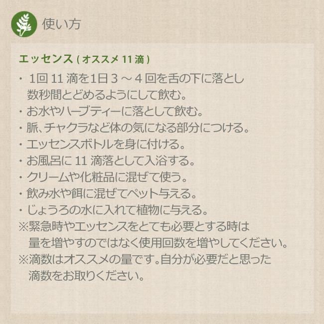 745円 とっておきし福袋 ペリドット 橄欖石 パシフィックエッセンス ジェムエッセンス