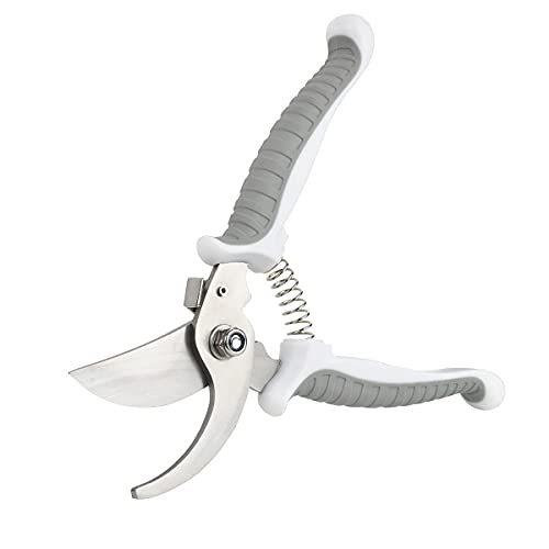 宅配 剪定鋏 果樹園芸鋏 果 バイパスタイプ園芸ハサミ 剪定ばさみ 耐久性 せんていばさみ 盆栽 万能ハサミ こども コンパクトガーデニング ハサミ はさみ その他インテリア雑貨 小物 n Go Th