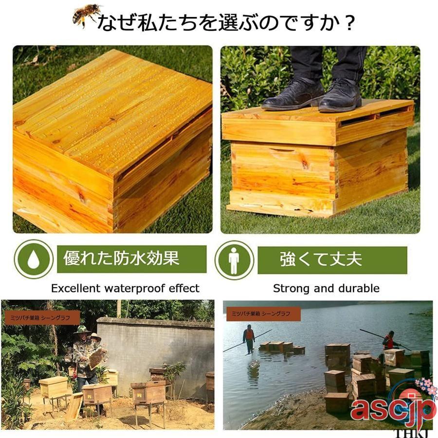 ミツバチ巣箱セット 養蜂 巣箱 キット 6フレーム ミツバチの巣箱 