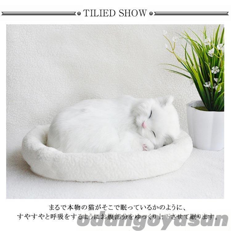 お腹ぽっこりエキゾベビー♡子猫♡パニエ♡クッション♡アートドール♡ぬいぐるみ 呼吸して眠るリアルな猫のぬいぐるみ ねこ ぬいぐるみ リアル 本物