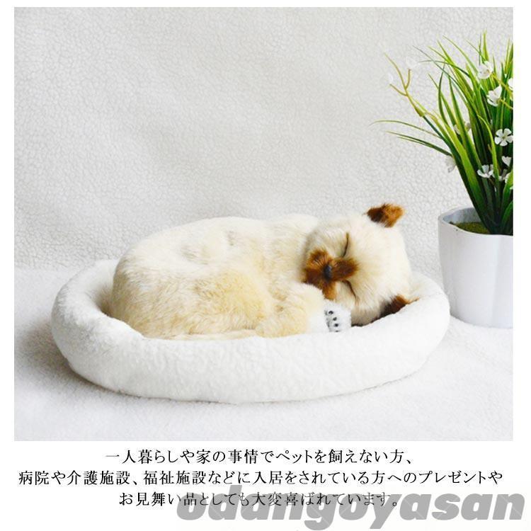 呼吸して眠るリアルな猫のぬいぐるみ ねこ ぬいぐるみ リアル 本物