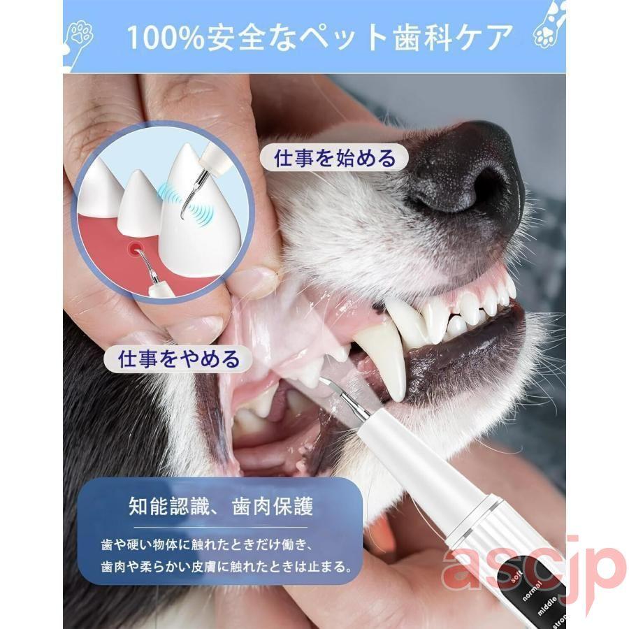 ペット口腔洗浄機 超音波歯クリーナー 口腔洗浄機 犬用歯垢除去歯科 