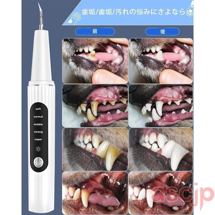 ペット口腔洗浄機 超音波歯クリーナー 口腔洗浄機 犬用歯垢除去歯科 