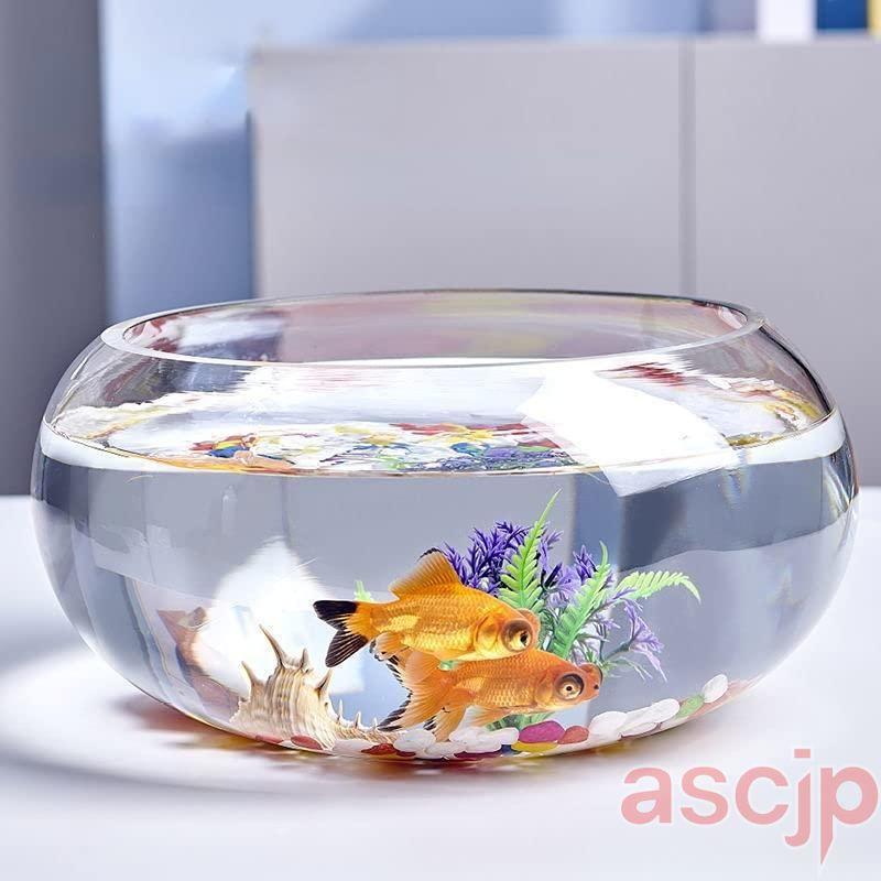 金魚鉢 丸型金魚鉢 ガラス 透明 テーブル アクアリウム ボウル 観葉