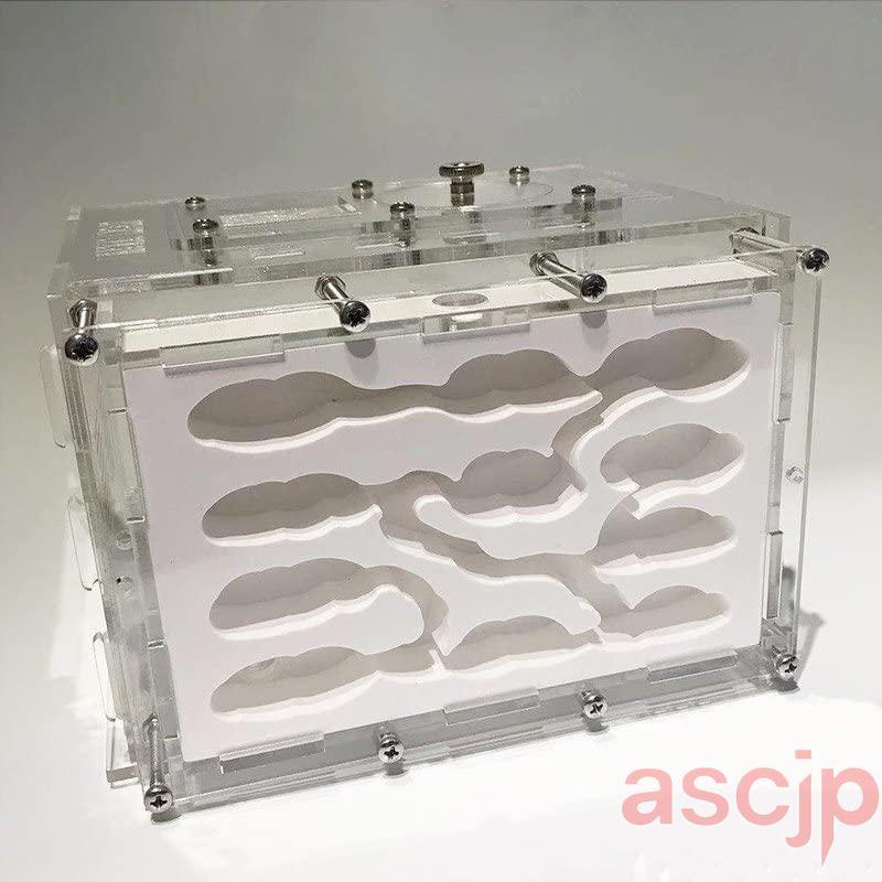 アリの巣観察キット 大きい 石膏製巣箱 保湿性がよい 自由研究 蟻 観察