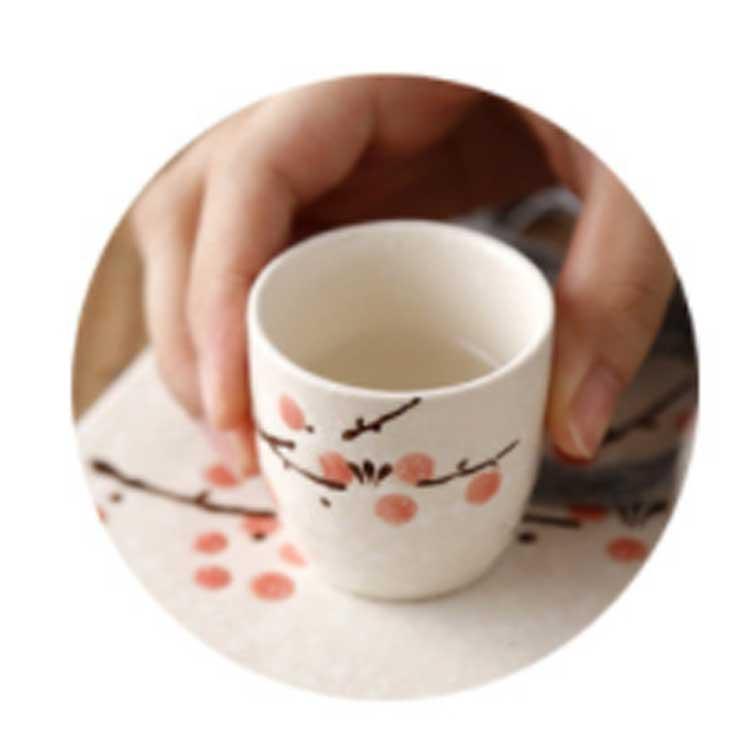 花柄 おちょこ 梅の花 徳利セット 焼酎 6点セット 和風 盃 お猪口