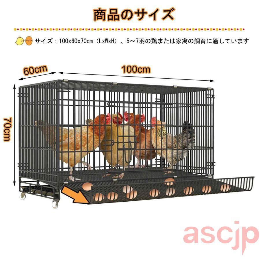 鶏小屋鶏舎ニワトリ 屋外大型 飼育小屋鶏小屋 鶏用ケージ キットチキン