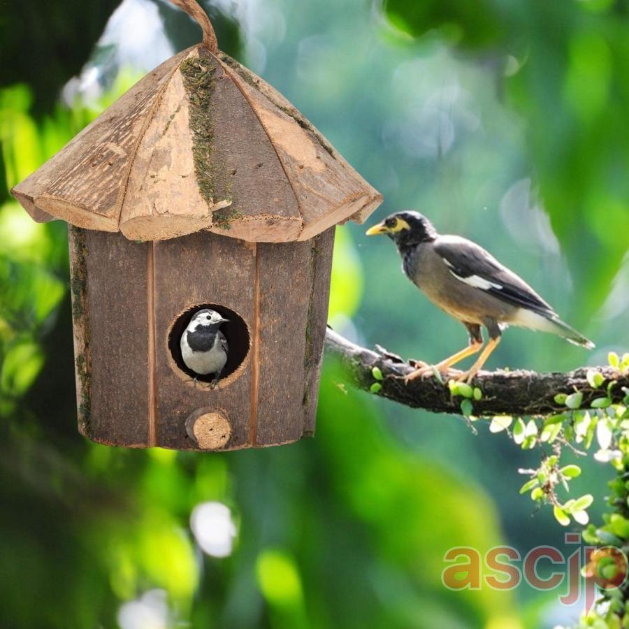 野鳥用巣箱 巣箱 バードハウス 鳥巣 天然素材 木制 鳥小屋 小鳥巣箱