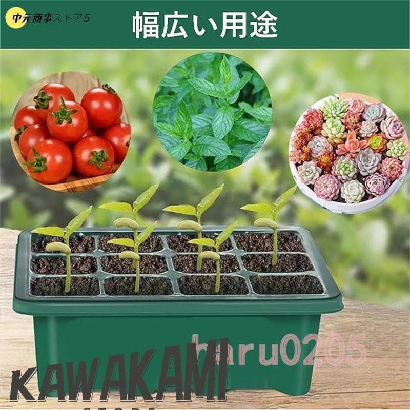 プチトマト苗 発芽済み 育苗トレイセット 育苗ポット 3個セット 育苗トレイ 育苗箱 12穴 高くする透明カバー