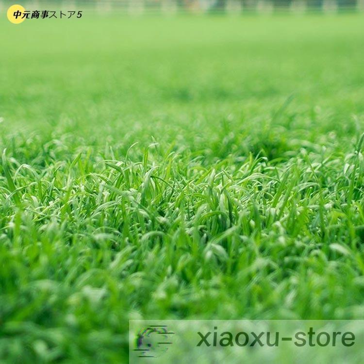人工芝 ロール1m×10m」の人気商品一覧 | 安い商品を通販サイトから探す