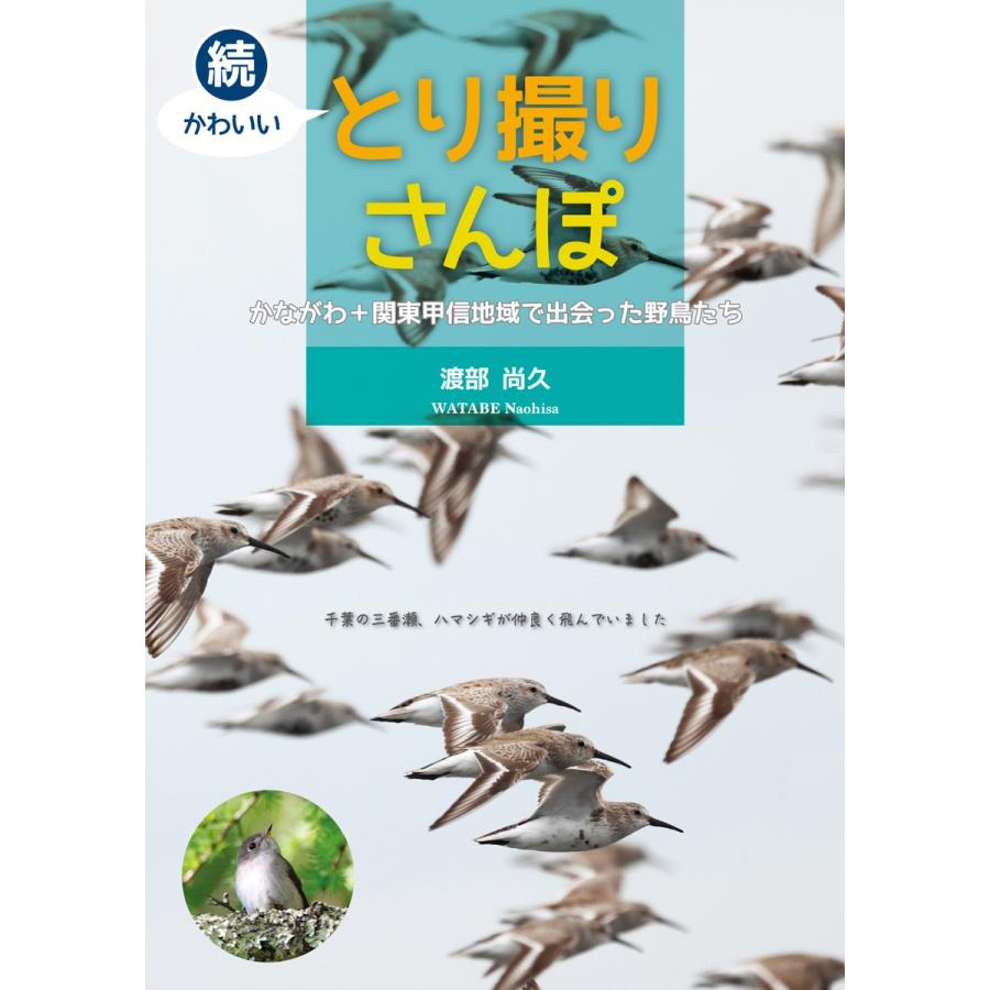 続『かわいいとり撮りさんぽ かながわ＋関東甲信地域で出会った野鳥たち』渡部尚久著 | 