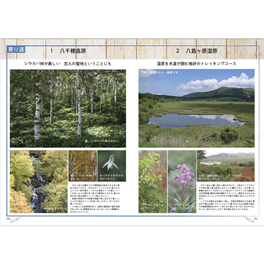 続『かわいいとり撮りさんぽ かながわ＋関東甲信地域で出会った野鳥たち』渡部尚久著 |  | 04