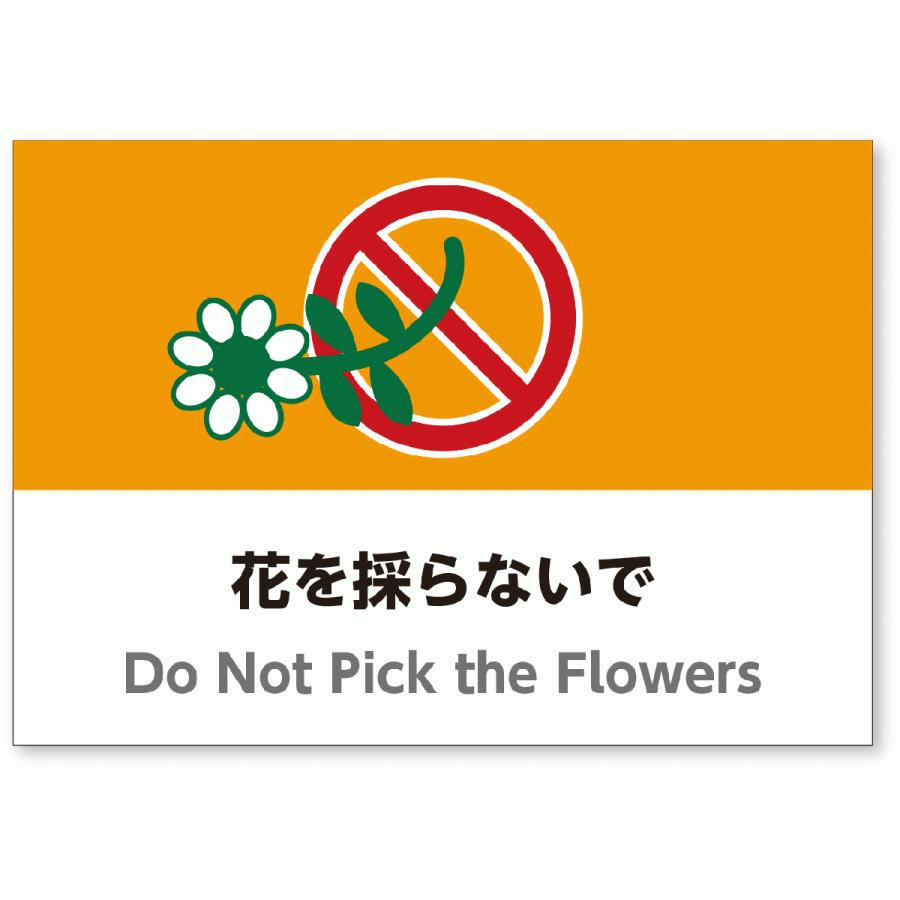 A3サイズおしゃれ注意看板「花を採らないで」（英語併記：Do Not Pick