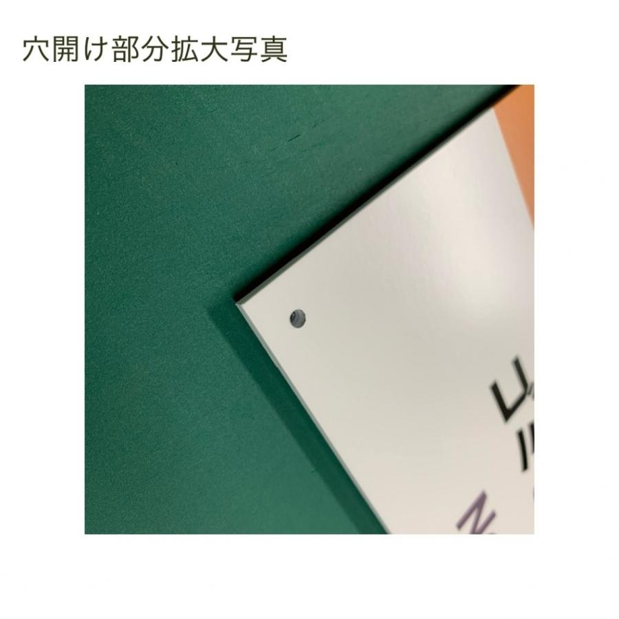 輝い A3サイズイラスト注意看板 土足厳禁 英語併記 Shoes Prohibited 土足禁止 高耐性屋外用 送料無料 Strictly その他安全標識 看板 加工 穴開け四隅 Www Mayama Org Mx