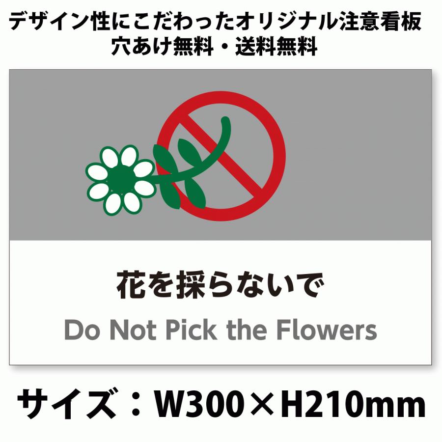 Sur Sudha Cd Of ネパール 民族音楽 Melodies Nepal シタール インド音楽 タブラ Nepal