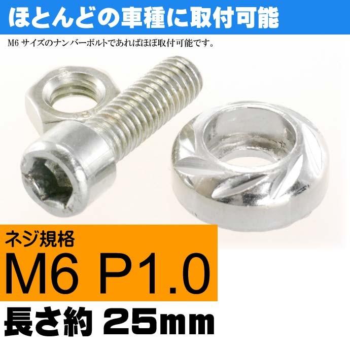 ナンバープレートボルト ネジ カラーワッシャー 銀2個 ビス M6 P1.0