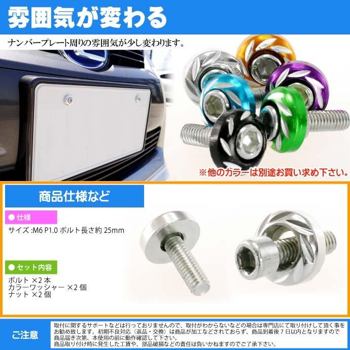 ナンバープレートボルト ネジ カラーワッシャー 銀2個 ビス M6 P1.0