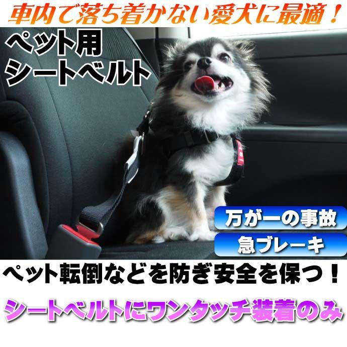 ペット用シートベルト 愛犬に安全を カーハーネスXL 安全に車乗るためのペット用品 ペットのシートベルト ペット用品 Fa094｜ase-world｜02