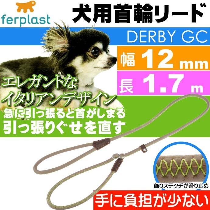 犬 首輪 リード 引っ張ると首がしまる 幅12mm長1.7m 緑 ペット用品