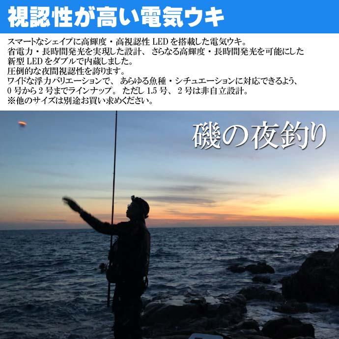 電気ウキ ks-4989801355280.jpg