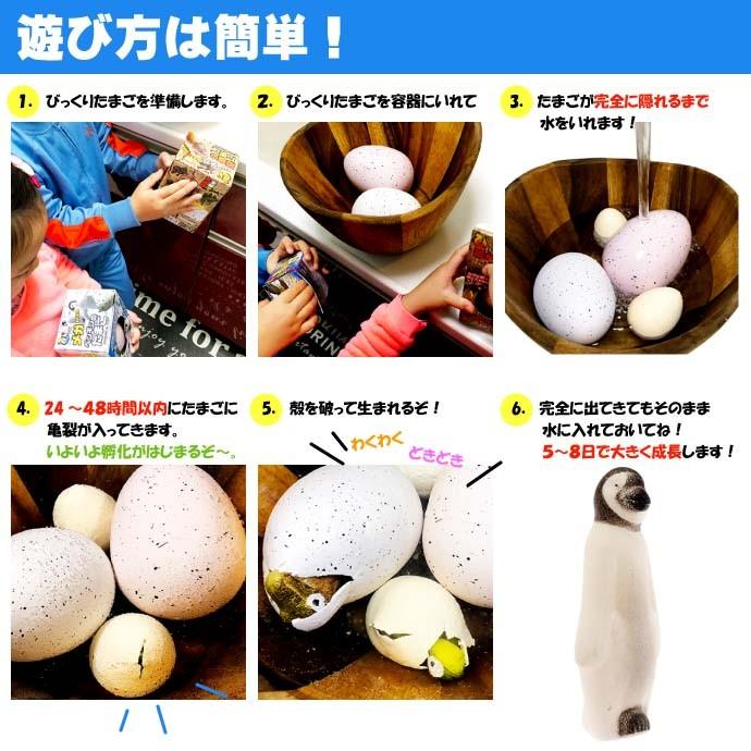 送料無料 びっくりメガたまご ペンギン 卵から生まれて大きくなる 育てている感が出て毎日楽しく眺めれるおもちゃ Ms9 Ms Ase 通販 Yahoo ショッピング