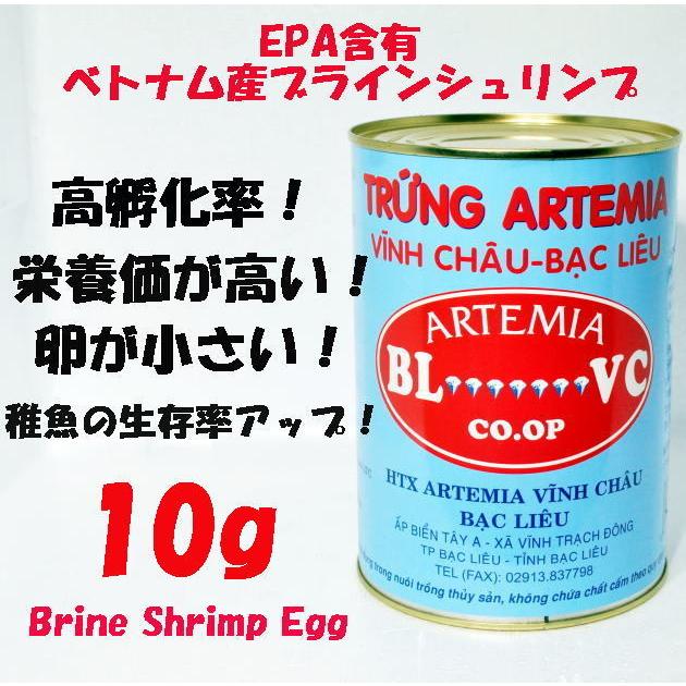 ブラインシュリンプ　未開封　1缶　オマケ付き EPA含有 ベトナム産 ブラインシュリンプ エッグ 10g 孵化率95％以上