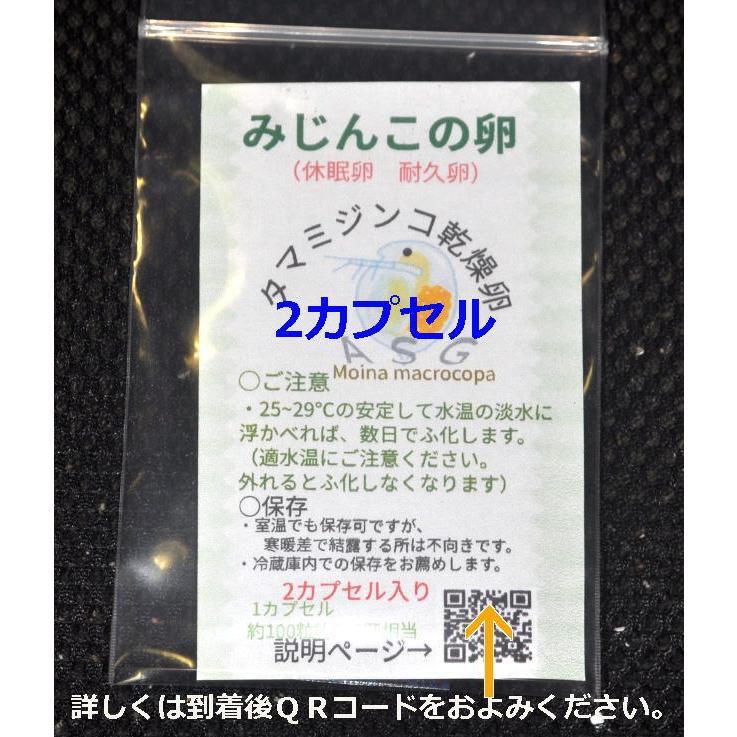 乾燥ミジンコ(ペット用品、生き物)の商品一覧 通販 - Yahoo!ショッピング 乾燥ミジンコ(ペット用品、生き物)の商品一覧 通販 - Yahoo!ショッピング