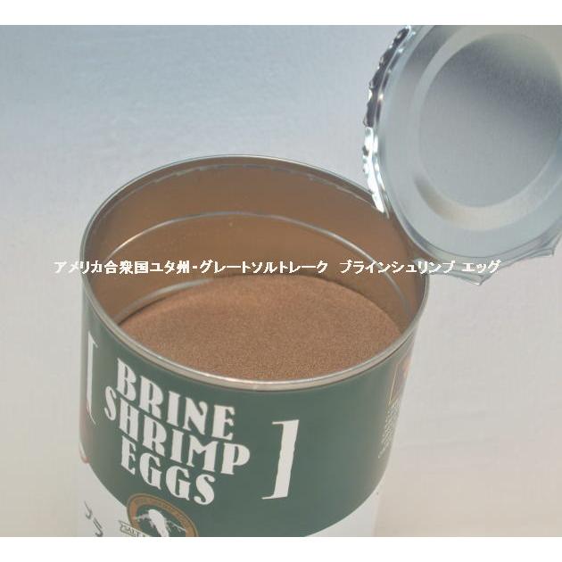 日本動物薬品 ブラインシュリンプ エッグス 425g缶入最 - 魚のエサ