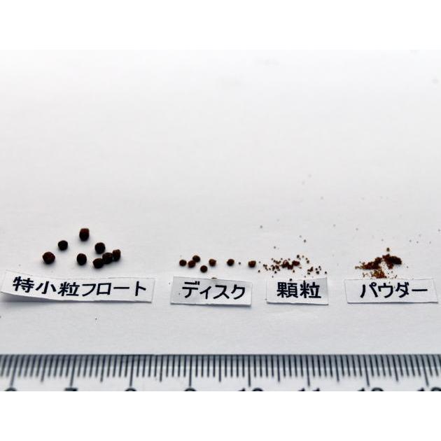 キョーリン パラクリア 顆粒 35g : ASGヤフー店 - 通販 - Yahoo キョーリン パラクリア 顆粒 35g : ASGヤフー店 - 通販 - Yahoo