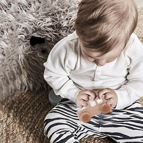 送料無料キャンペーン 2点セット トランク ワゴン ミニカー 赤ちゃんのおもちゃ 木製おもちゃ Babe Promise ブナの木 押 無塗装 天然木 ガラガラ ラトル Gandarachalet Es