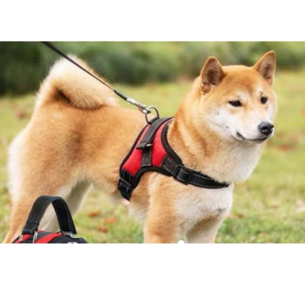 犬 ハーネス 安全 帯 ペット 猫 用品 グッズ おしゃれ ドッグ 小型 中型 大型 可愛い お散歩 首輪 ハンドル付き |  | 05