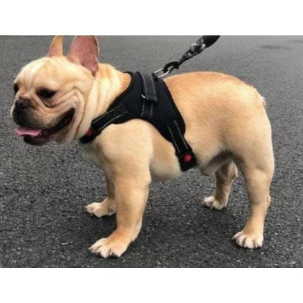 犬 ハーネス 安全 帯 ペット 猫 用品 グッズ おしゃれ ドッグ 小型 中型 大型 可愛い お散歩 首輪 ハンドル付き |  | 06