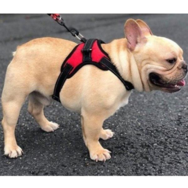 犬 ハーネス 安全 帯 ペット 猫 用品 グッズ おしゃれ ドッグ 小型 中型 大型 可愛い お散歩 首輪 ハンドル付き |  | 07