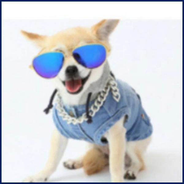 ハーネスリードセット ハーネス&リード お散歩グッズ ワンちゃん用 胴輪 リーシュ 120cm ペットグッズ 星 マジックテープ 可愛い 愛犬 |  | 06