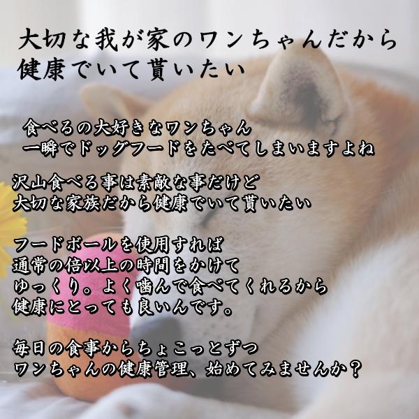 ペット 早食い防止 犬 ワンちゃん フードボウル 丸飲み ドッグフード ペットフード お皿 ペット用品 ペットアイテム 食器 防止｜ashcommerce｜02