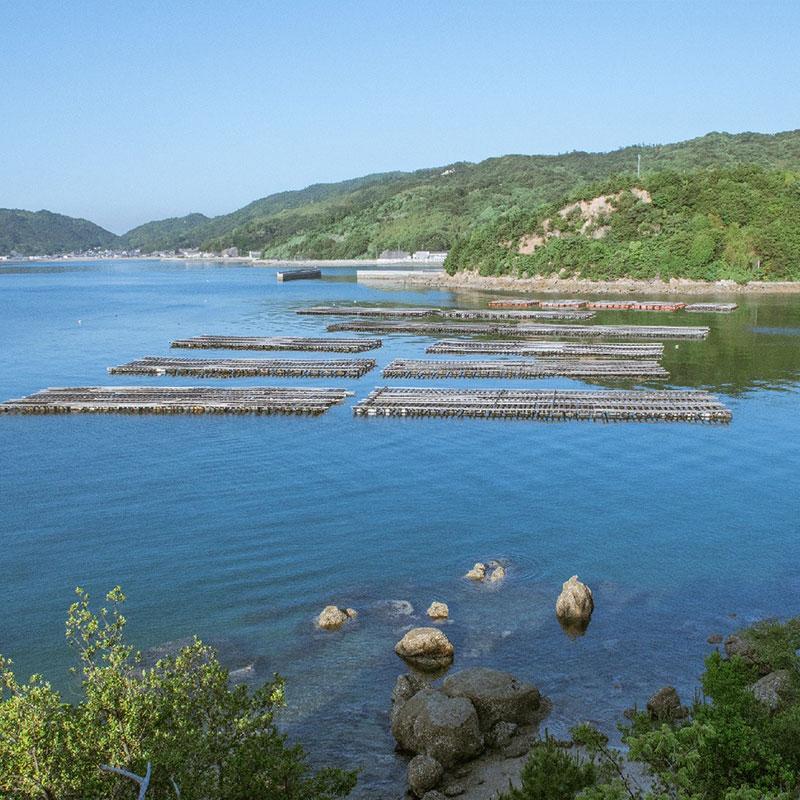 牡蠣 生食用 10Kg 冷凍殻付き牡蠣 喜田嬉かき LLサイズ （101〜120ｇ） 約83粒〜99粒 別撰 美海がき DENBA+技術 岡山産｜ashibahanbai｜06