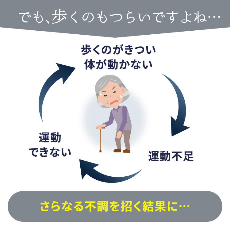 あしふみ健幸ライフ 【公式】踏み台 ステッパー 健康器具 運動 あしふみ健幸ライフ 【公式】踏み台 ステッパー 健康器具 運動