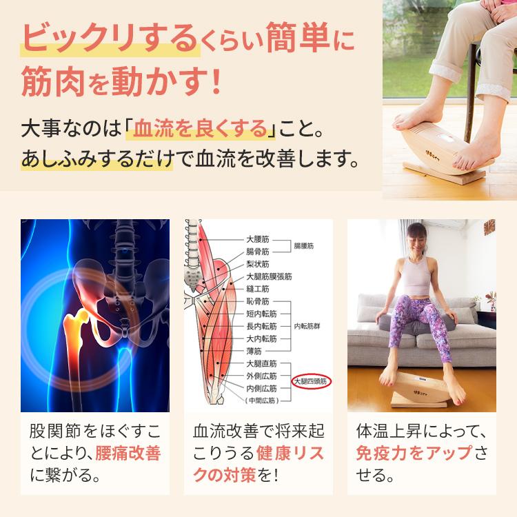 あしふみ健幸ライフ 【公式】ステッパー 健康器具 運動器具 あしふみ健幸ライフ 【公式】ステッパー 健康器具 運動器具