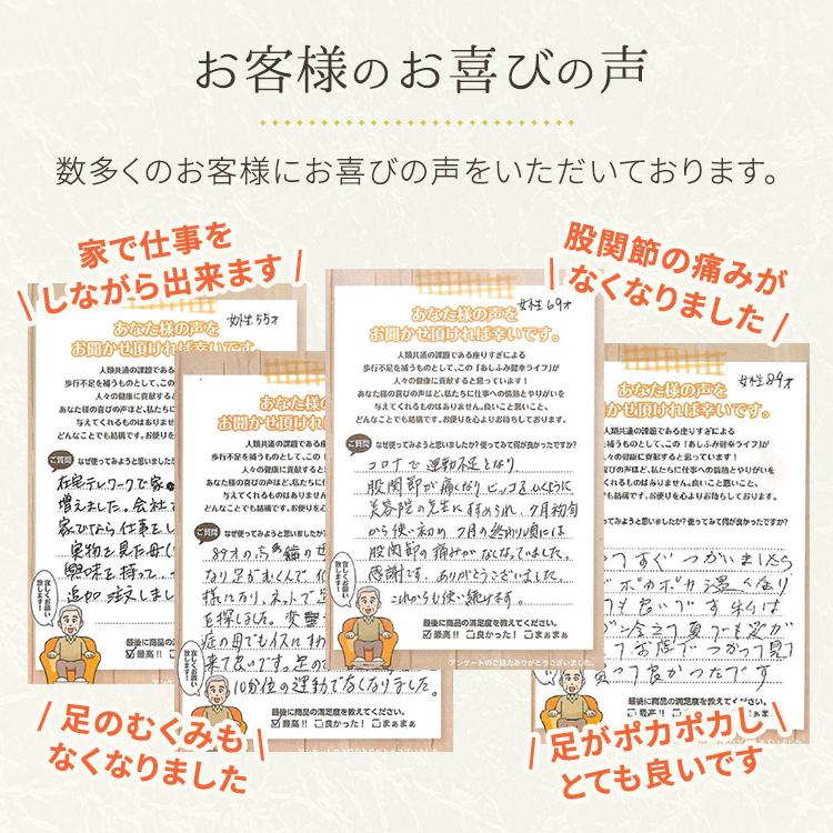 あしふみ健幸ライフ 【公式】ステッパー 健康器具 運動器具 あしふみ健幸ライフ 【公式】ステッパー 健康器具 運動器具