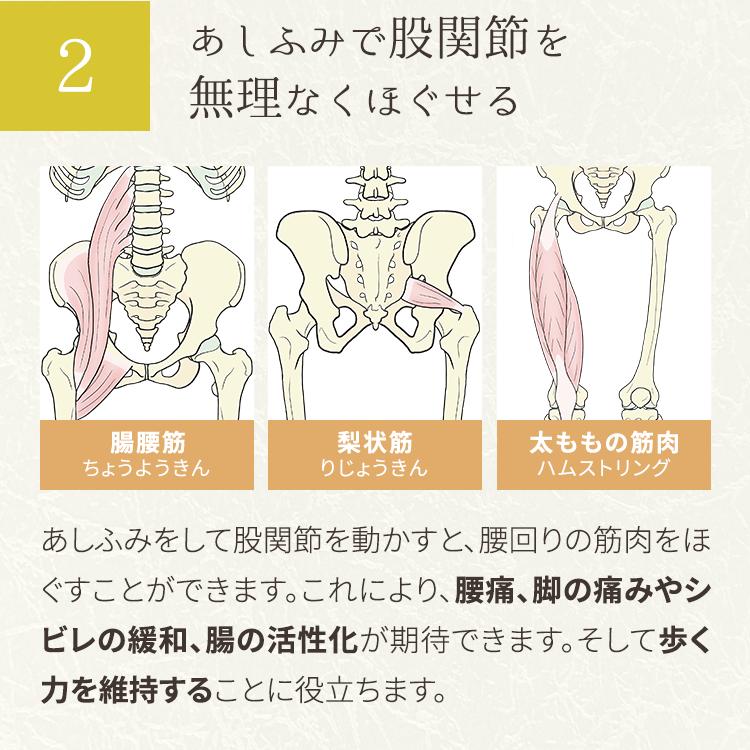 【公式】健康器具 万歩計 歩数計 ウォーキング 運動器具 公式 あしふみ健幸ライフ ステッパー 足踏み 高齢者 足踏み健康ライフ 座ったまま｜ashifumi-kenkolife｜13