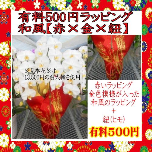 胡蝶蘭】☆胡蝶蘭5本立ち☆25,000円(税別)/胡蝶蘭/お祝い/お供え/送料