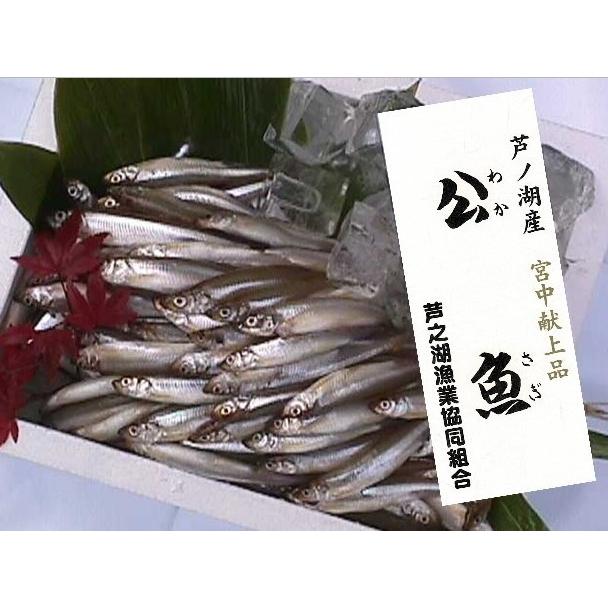 わかさぎの蔵【公魚】1本 Amazon | バリバス(VARIVAS) 公魚工房 ワカサギ仕掛け 基本 6本鈎-1号