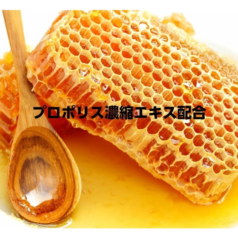 八丈島産明日葉パウダー最大量配合 無糖のど飴 プロポリス濃縮エキス カルシウム配合 あしたば農園オリジナルヘルシーのど飴 3袋セット |  | 04